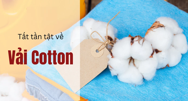 Tất tần tật về vải cotton